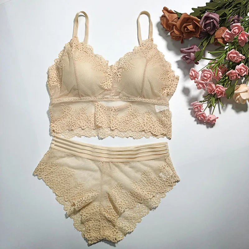 Lace Women Bra Panties Set Crop Top Bra Sexy Transparent Bra Push Up Lingerie Set Female Bralette Underwear Set