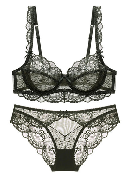 Sexy Lace Ultra Thin Transparent Bra and Panties Set Underwear Set Lingerie Women Brassieres A B C D E Cup 95C 95D