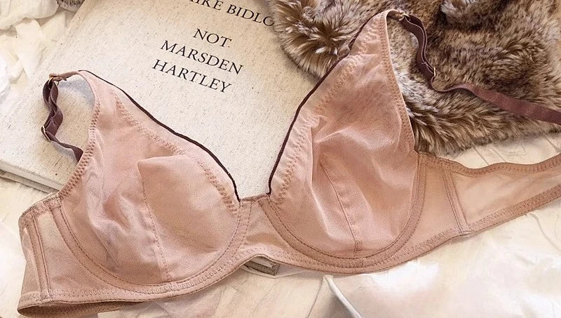 Minimizer Bra Plus Size Underwire French Style Triangle Cup Push Up Sexy Mesh Lingerie Set Support 32-40 MOYISU Sexy Bra Set BC