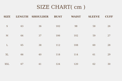 Women's Blouse Round Neck Long Sleeve Tops Solid Pleated Loose Tops Elegant Blouse Spring Summer Casual Blouse Office Light Tops