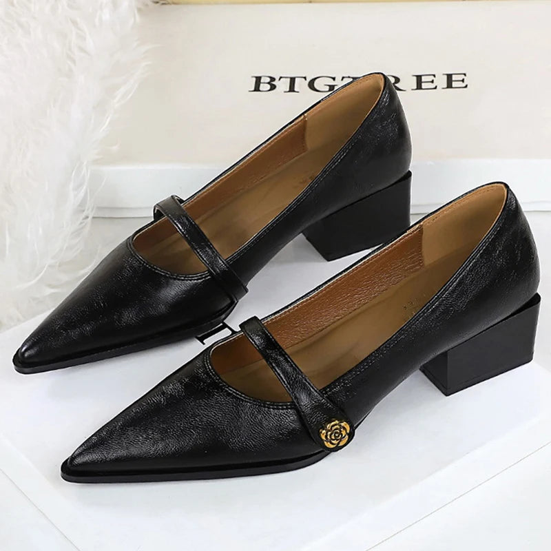 BIGTREE Shoes Retro Low Heeled Women's Shoes Sharp Pointed Mary Jane Shoes Temperament Party Shoes Women Heels Office Shoes 2026