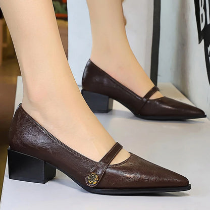 BIGTREE Shoes Retro Low Heeled Women's Shoes Sharp Pointed Mary Jane Shoes Temperament Party Shoes Women Heels Office Shoes 2026