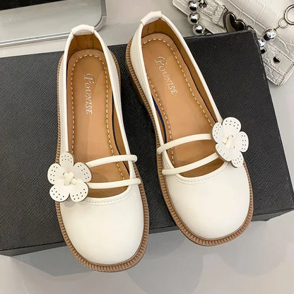 New Women Heels Mary Janes Platform Lolita Shoes Vintage Low-heel Pumps Women's Japanese Style High Heel Shoes for Women