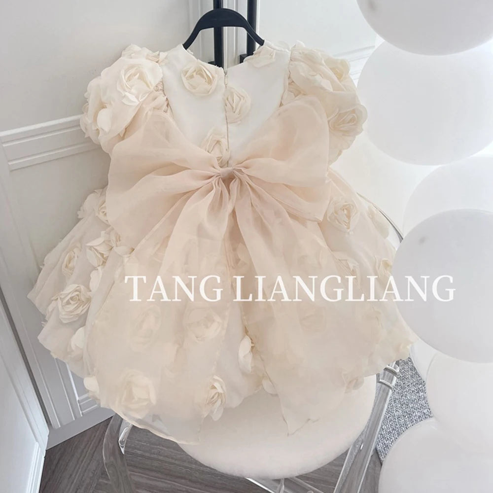 HETISO Flower Girl Dress Appliques Vintage Princess Kids Wedding First Birthday Pageant Party Ball Gown Children Wear 1-12 Years