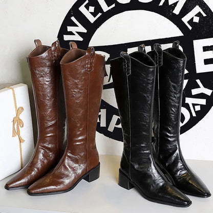 BIGTREE Spring Autumn Pointed Toe Knee-High Boots Women Designer Vintage Square Low Heels Shoes Modern Long Botas Para Mujer