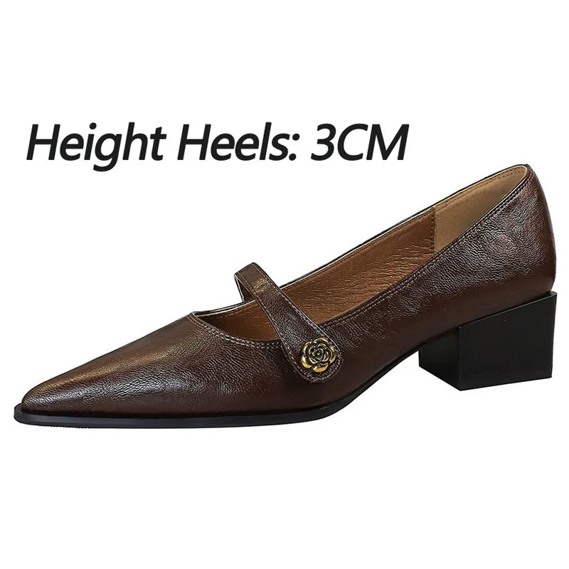 BIGTREE Shoes Retro Low Heeled Women's Shoes Sharp Pointed Mary Jane Shoes Temperament Party Shoes Women Heels Office Shoes 2026