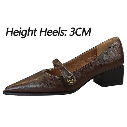 BIGTREE Shoes Retro Low Heeled Women's Shoes Sharp Pointed Mary Jane Shoes Temperament Party Shoes Women Heels Office Shoes 2026