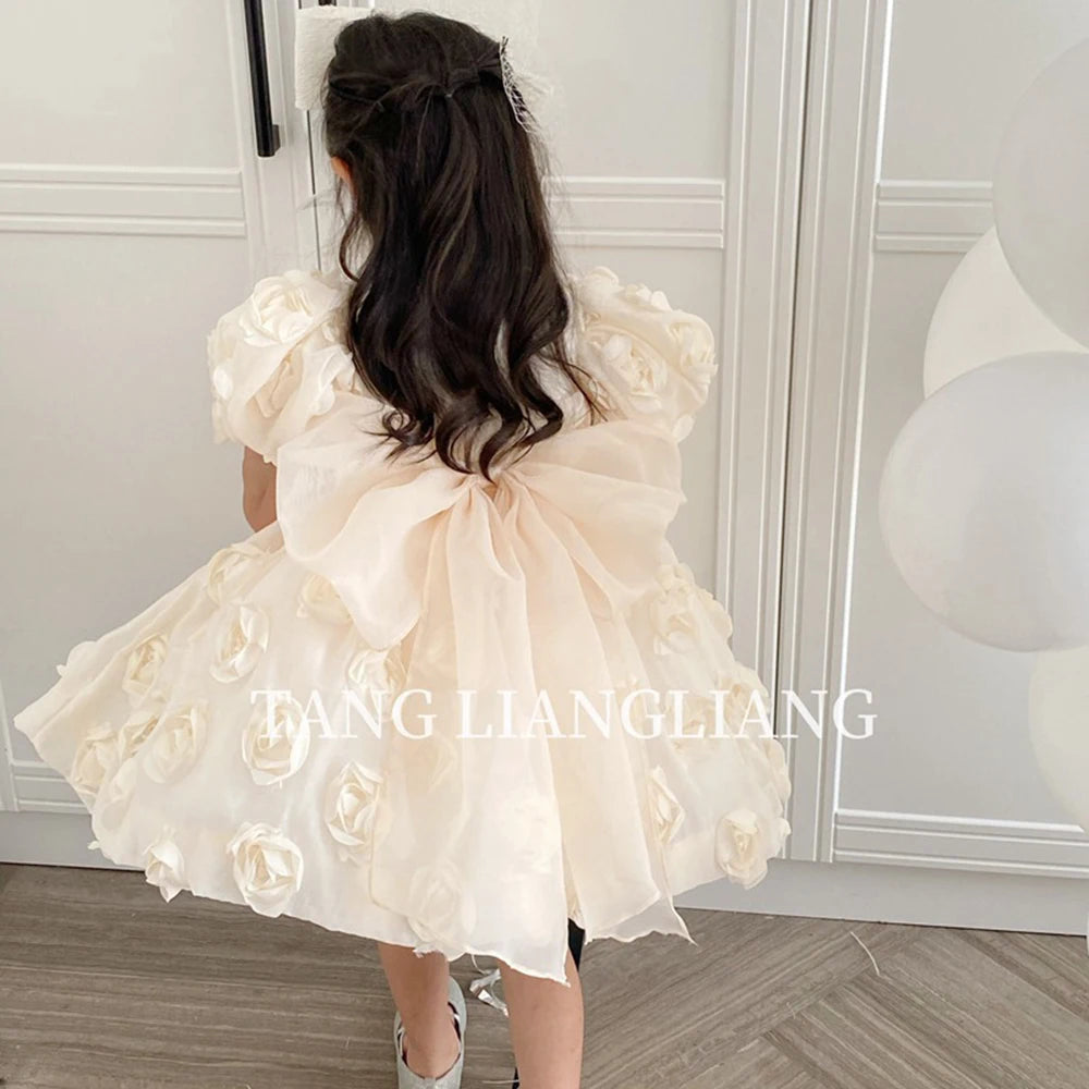 HETISO Flower Girl Dress Appliques Vintage Princess Kids Wedding First Birthday Pageant Party Ball Gown Children Wear 1-12 Years
