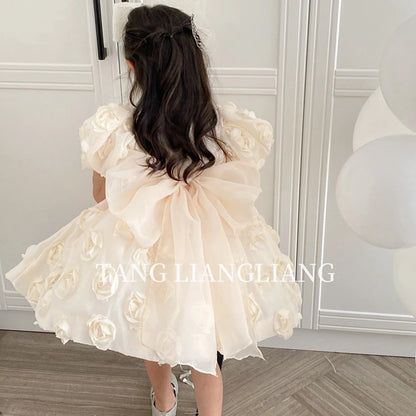 HETISO Flower Girl Dress Appliques Vintage Princess Kids Wedding First Birthday Pageant Party Ball Gown Children Wear 1-12 Years