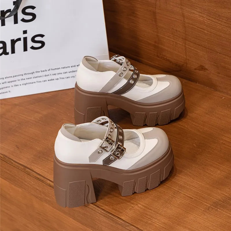 AIYUQI Mary Jane Shoes Women 2026 New Genuine Leather Women High Heels Color Block 11cm Platform Girls Shoes