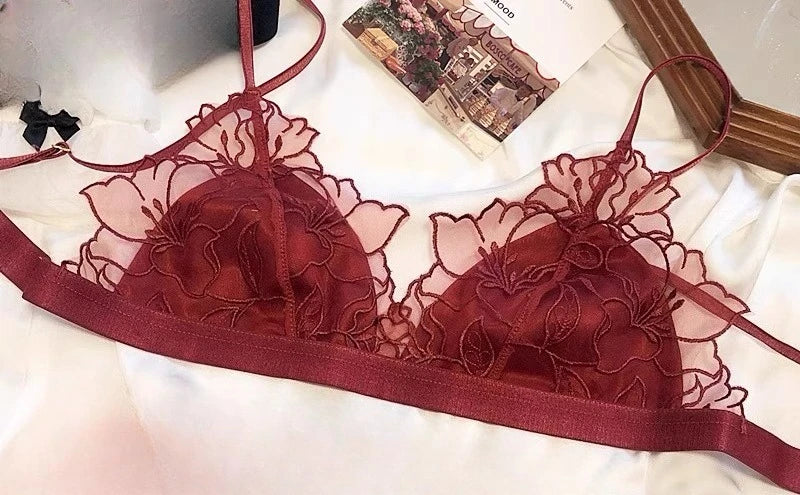 Elegant French Lace Bralette Wireless Triangle Cup No Underwire Thin Straps Small Bust Women Comfort Lingerie Set BANERDANNI