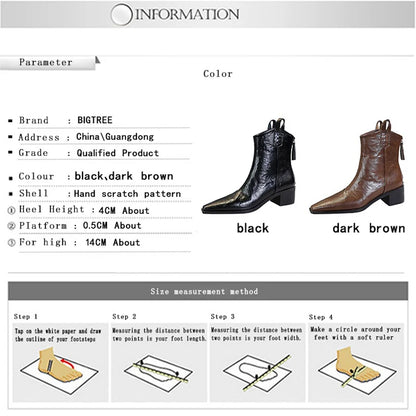 BIGTREE Designer Punk Vintage Pointed Toe Women Ankle Boots Autumn Winter Zipper Shoes Women Fashion Square Heel Botas Mujer