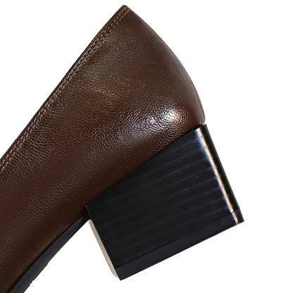 BIGTREE Shoes Retro Low Heeled Women's Shoes Sharp Pointed Mary Jane Shoes Temperament Party Shoes Women Heels Office Shoes 2026