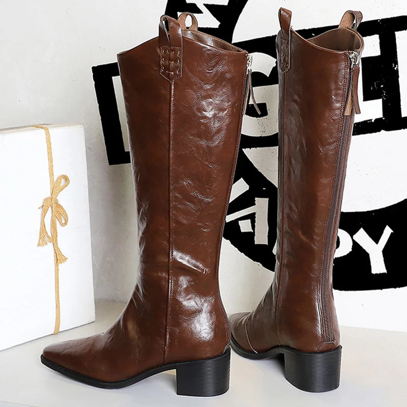 BIGTREE Spring Autumn Pointed Toe Knee-High Boots Women Designer Vintage Square Low Heels Shoes Modern Long Botas Para Mujer