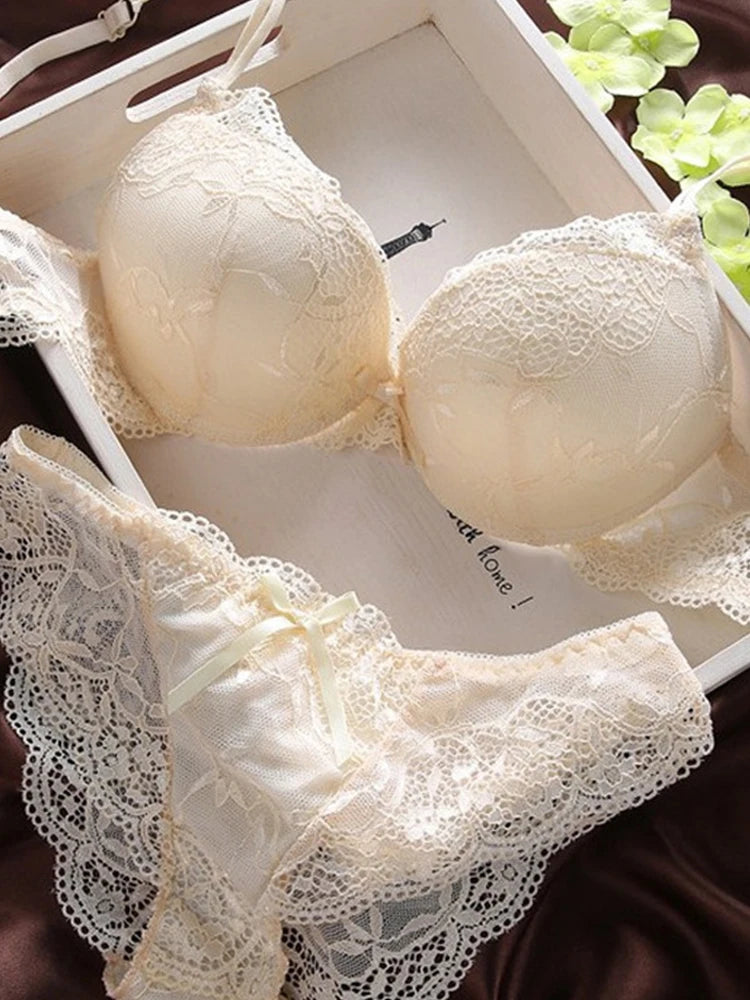 Push Up Bra Lace Bra And Panty Set Women’s Embroidery Deep V Lingerie & Knickers