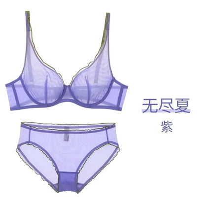 Minimizer Bra Plus Size Underwire French Style Triangle Cup Push Up Sexy Mesh Lingerie Set Support 32-40 MOYISU Sexy Bra Set BC