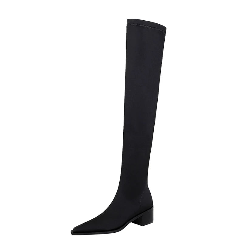 BIGTREE Shoes Women Sexy Over The Knee Boots Pointed Top Stretch Boots Thick Heel High Boots Black Long Boots Autumn Winter Shoe