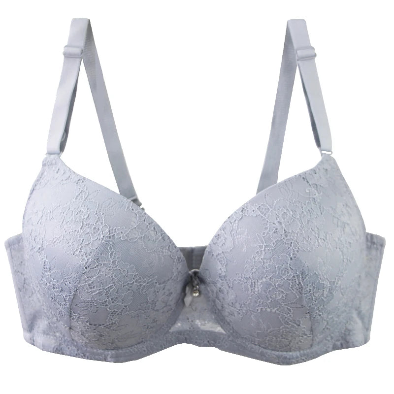 2025 New Sexy Bow Bras For Women Iron-gray Khaki Purple-red Black Gray-blue Reddis Gray CDE Cup Underwear Plus Size Lingerie