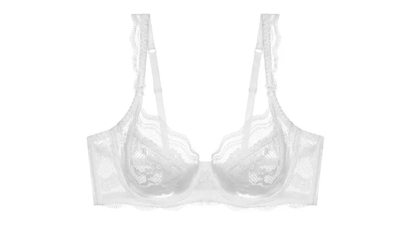 BANERDANNI La Parlé Elegant Floral Lace Bra Set Large Bust Looks Smaller Lightweight Breathable Pure Desire Bra & Set Hot Seller