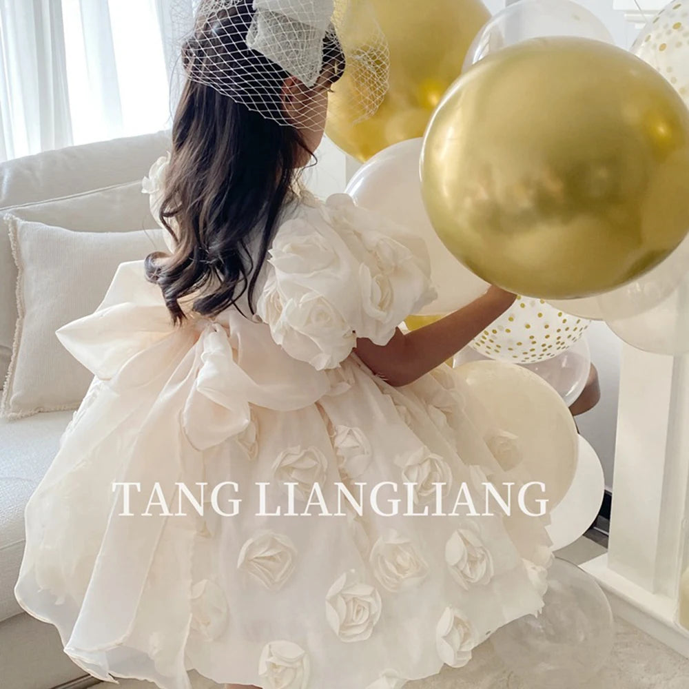 HETISO Flower Girl Dress Appliques Vintage Princess Kids Wedding First Birthday Pageant Party Ball Gown Children Wear 1-12 Years