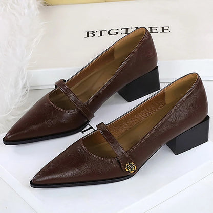 BIGTREE Shoes Retro Low Heeled Women's Shoes Sharp Pointed Mary Jane Shoes Temperament Party Shoes Women Heels Office Shoes 2026